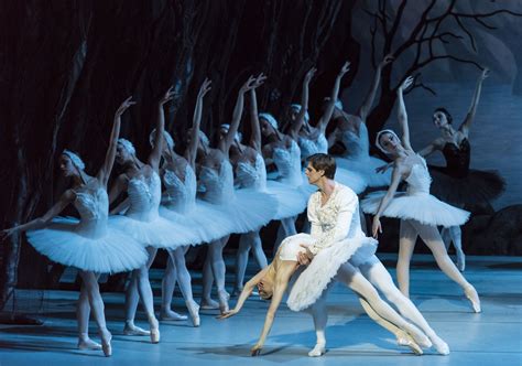 swan lake synopsis